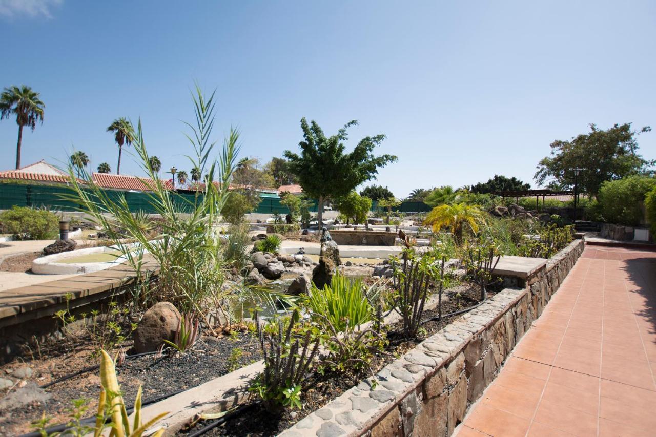 Serenity Garden Maspalomas  Exterior photo